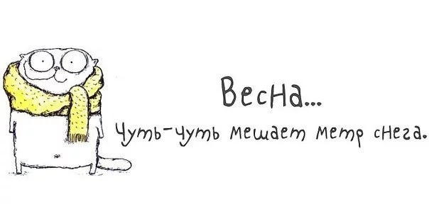 original.webp