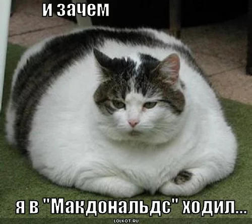 original.webp