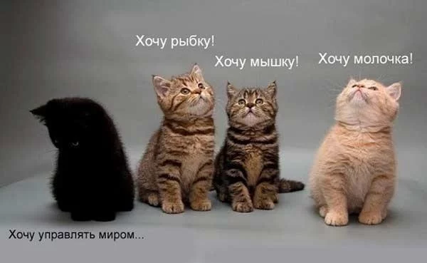 original.webp