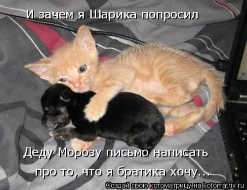original.webp