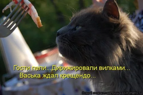original.webp