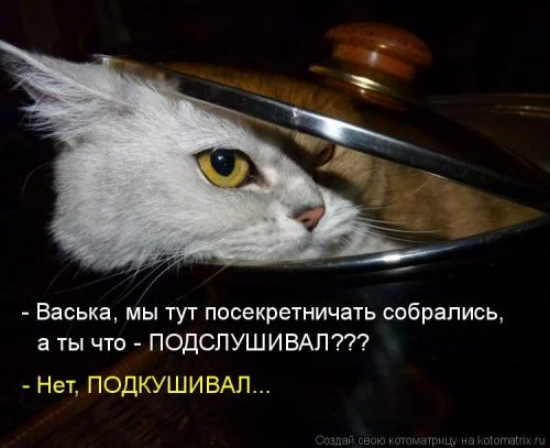 original.webp