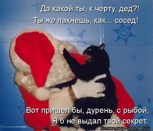 original.webp