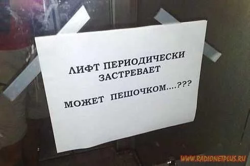 original.webp