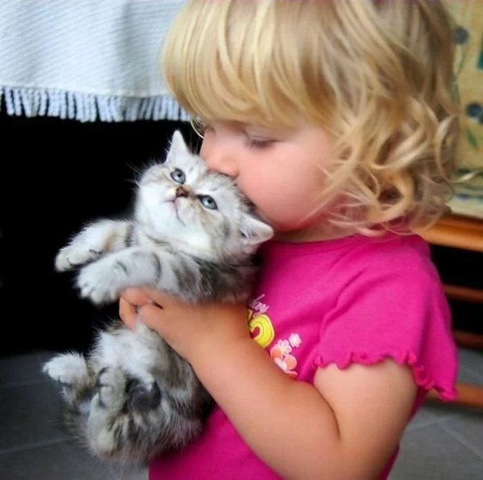 original.webp