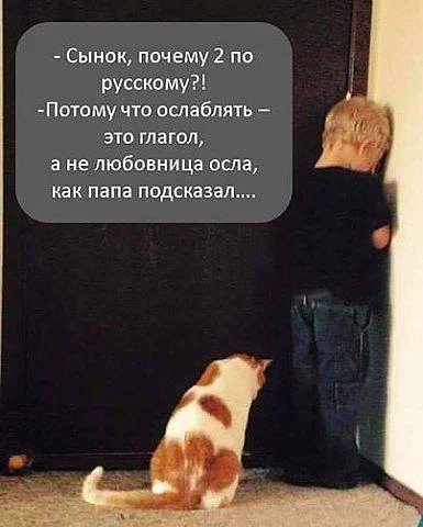 original.webp