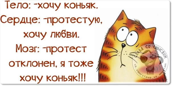 original.webp