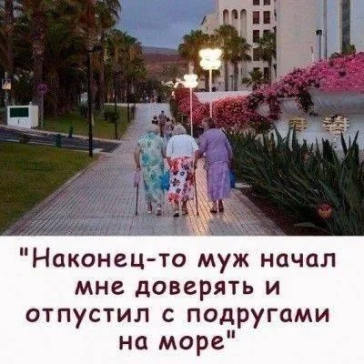 original.webp