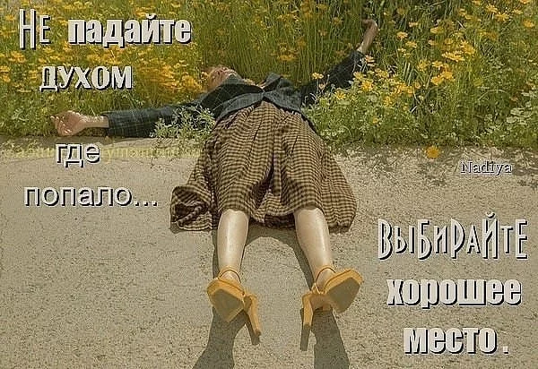 original.webp