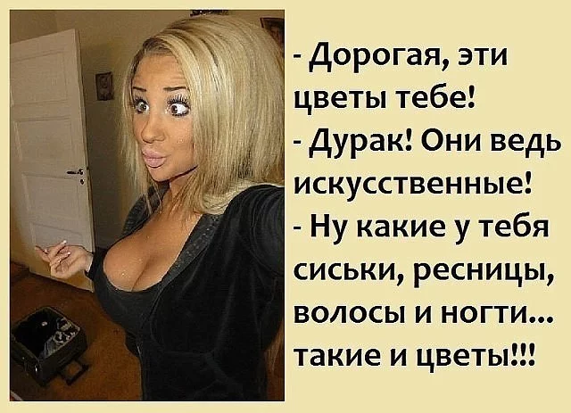 original.webp