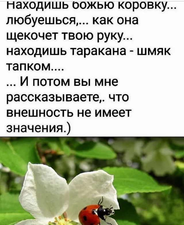 original.webp