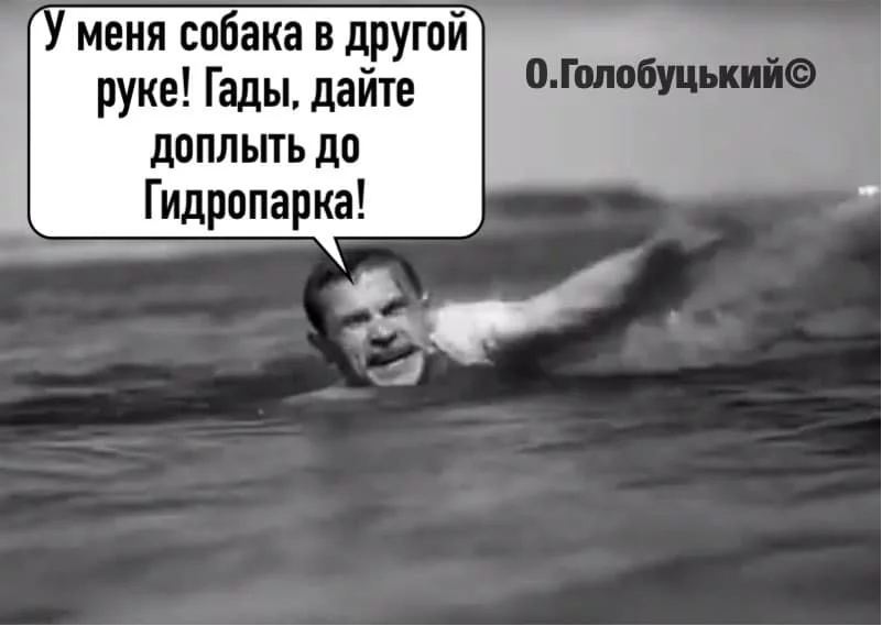 original.webp