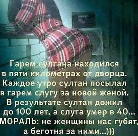 original.webp