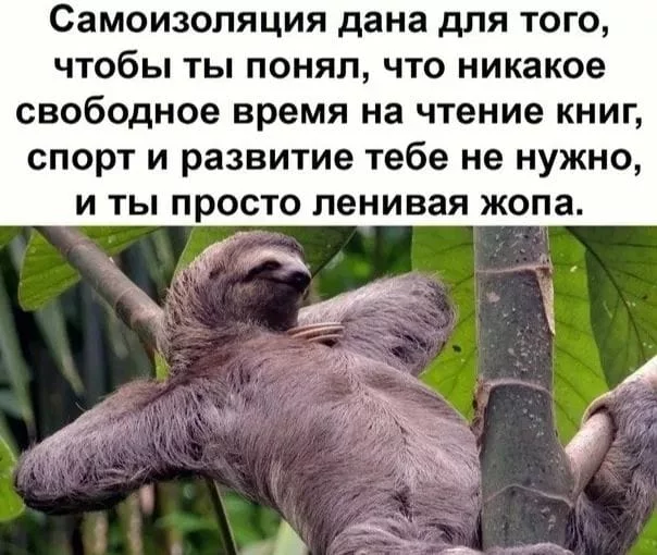 original.webp