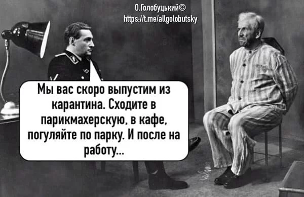 original.webp