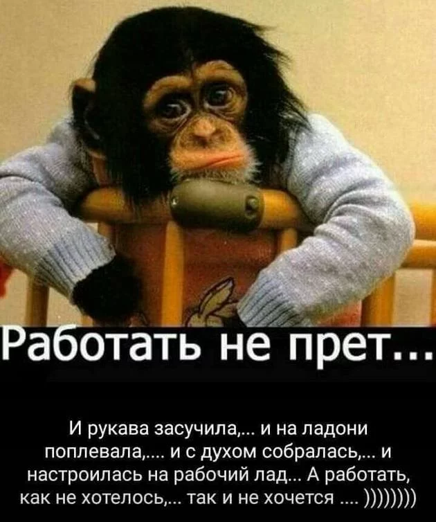 original.webp