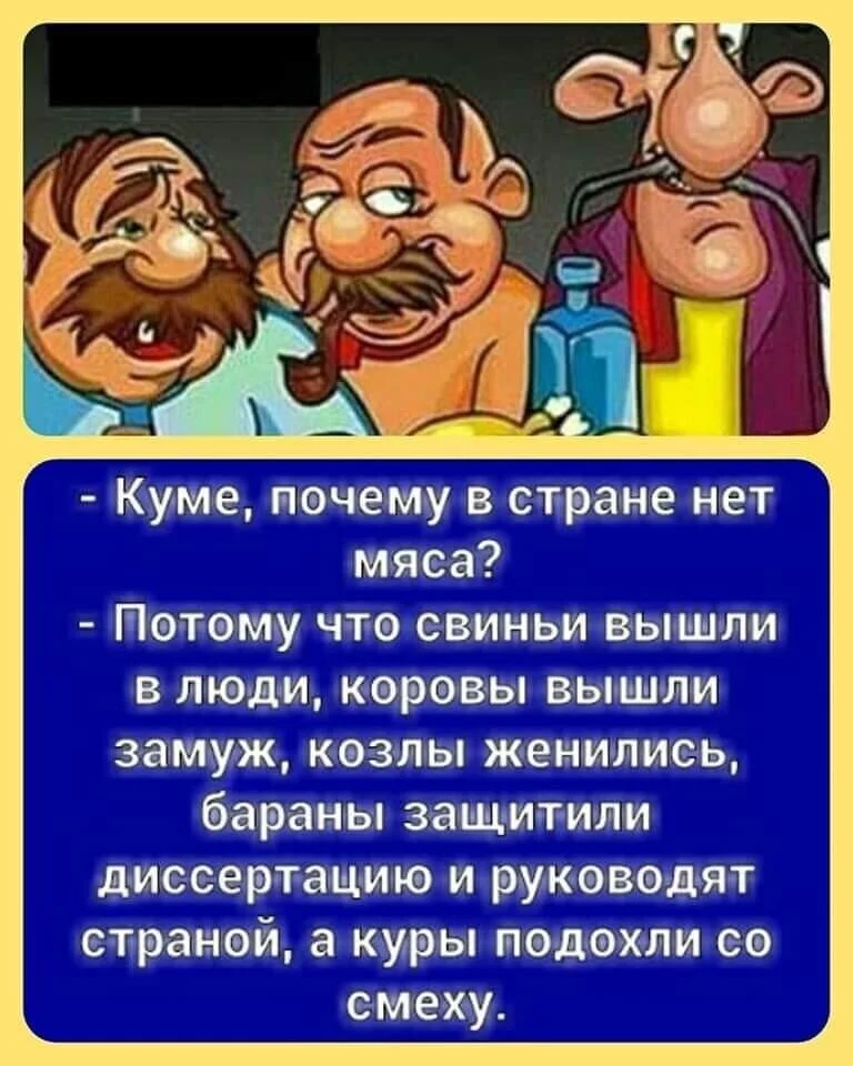 original.webp