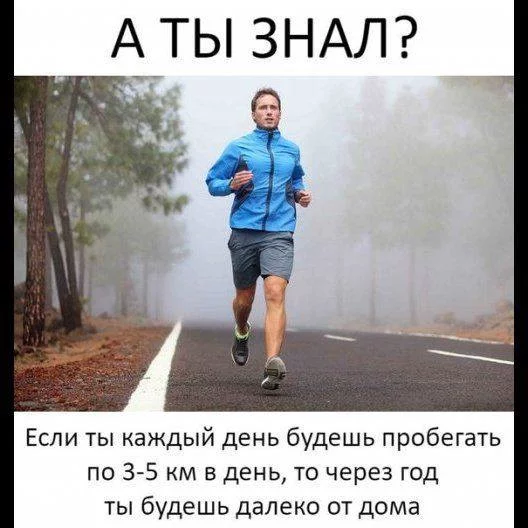 original.webp