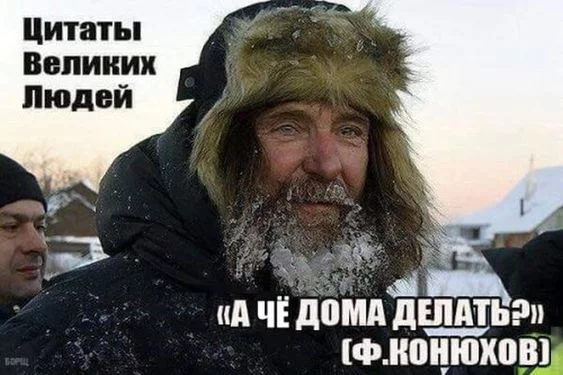 original.webp