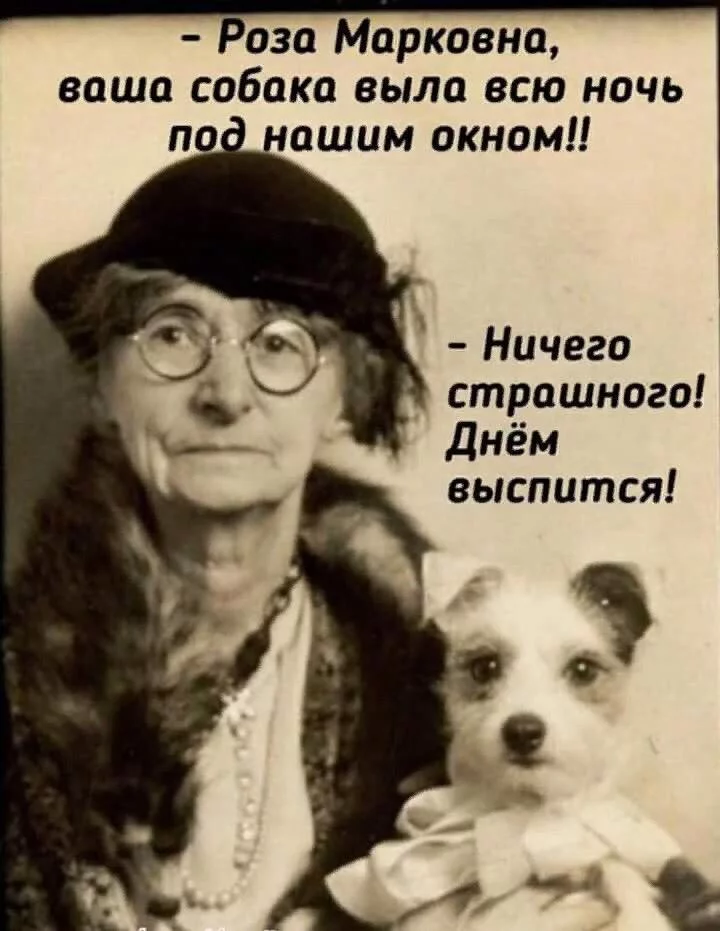 original.webp