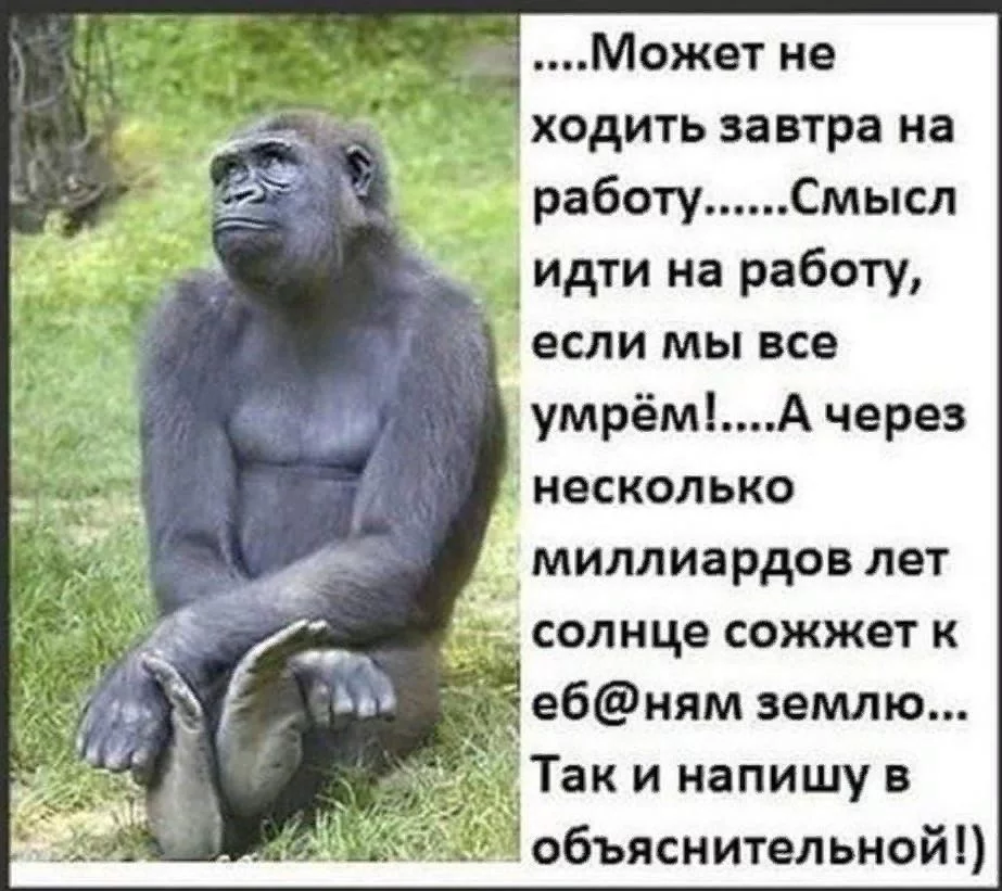 original.webp