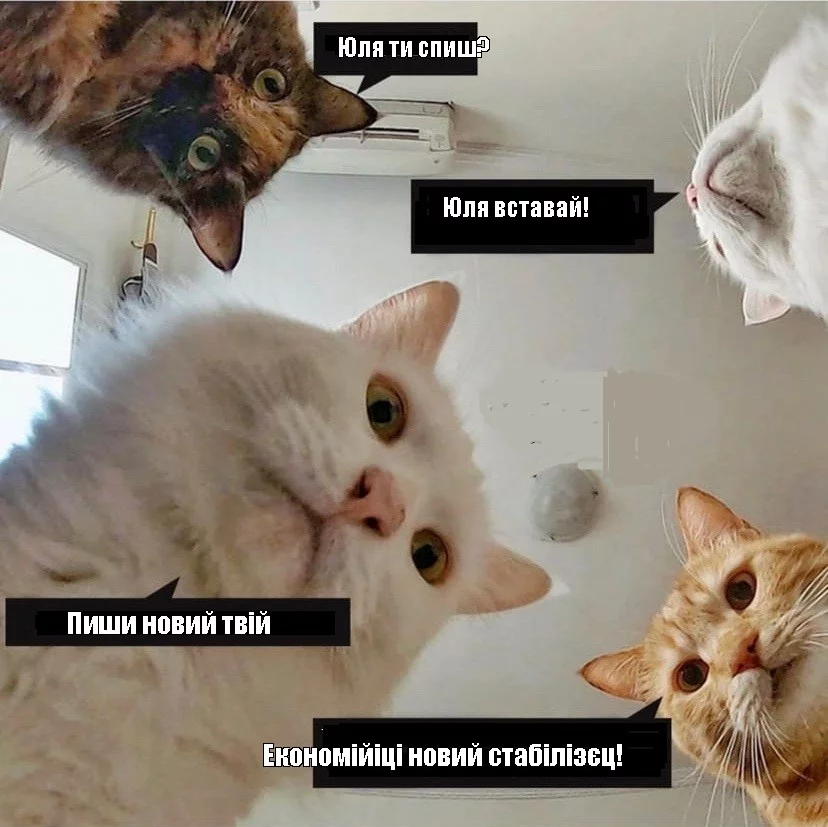 original.webp