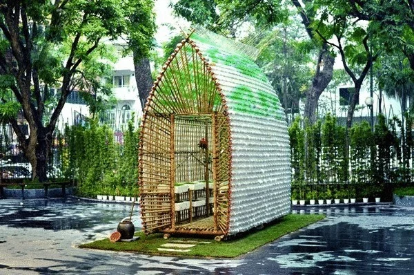 original_vegetable-nursery-0.webp