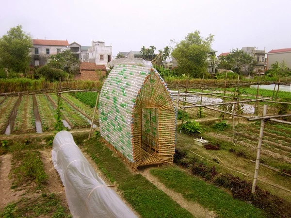 original_vegetable-nursery-4.webp