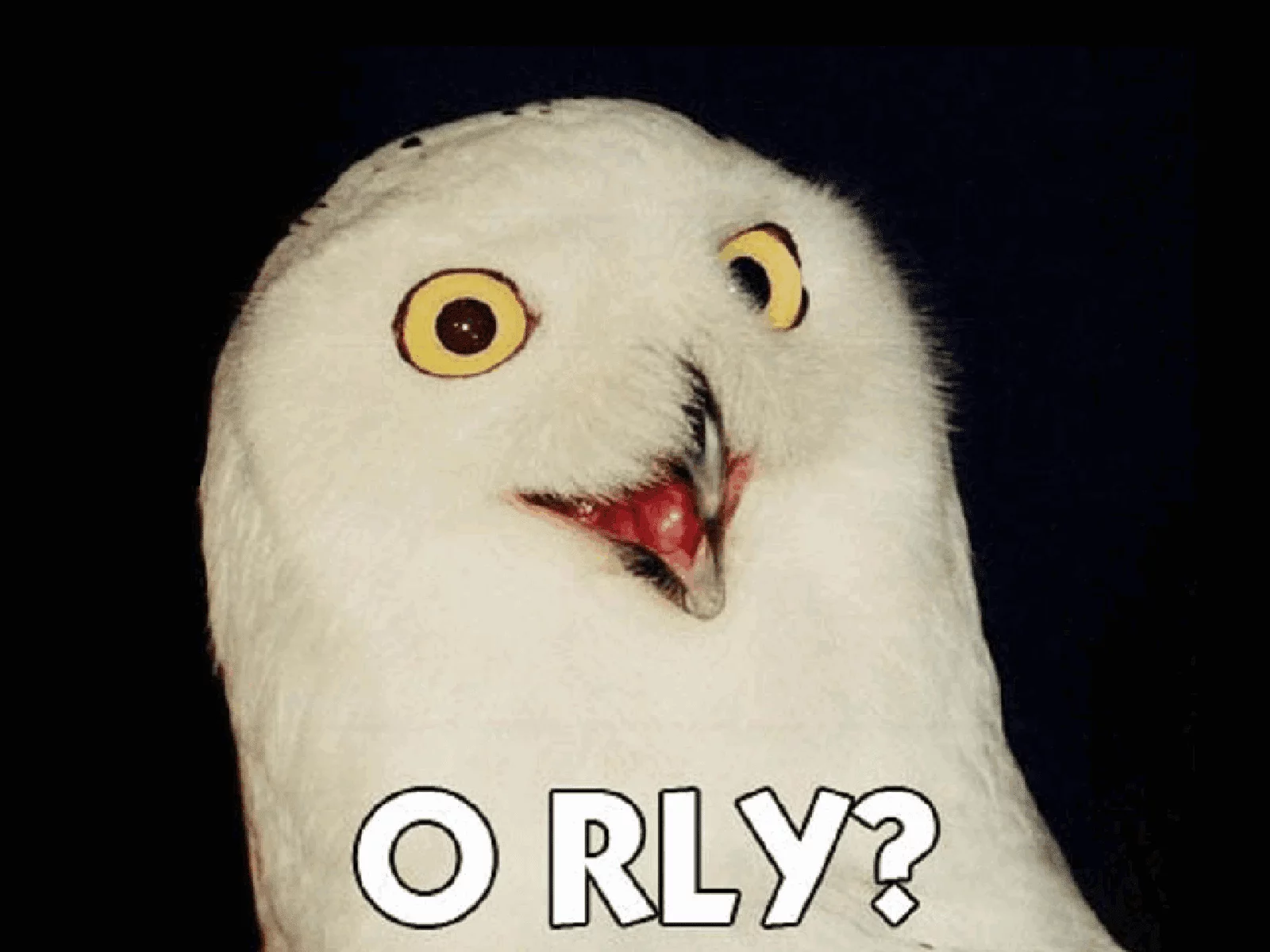 ORLY+Wallpapers.webp