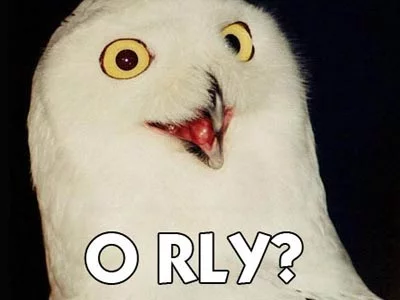 orly.webp