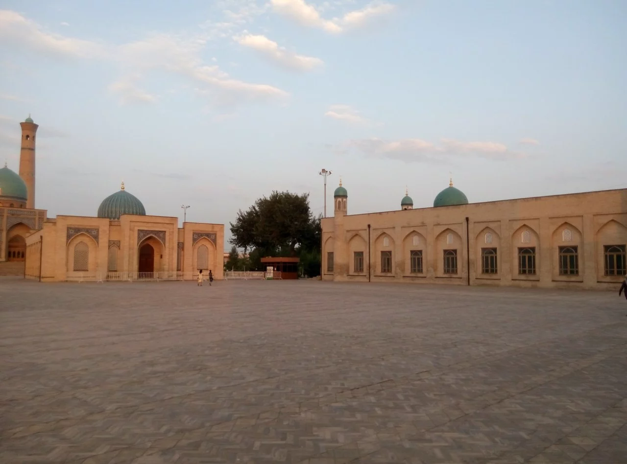 OrZsi2lr9J4.webp