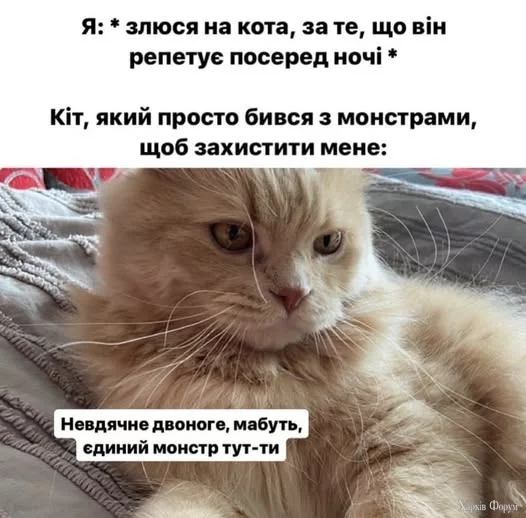 OS4LfiFIpZTXxUU&_nc_zt=23&_nc_ht=scontent.fiev25-1.webp