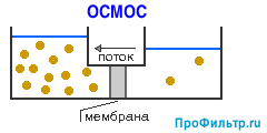 osmos_metod.gif
