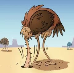 ostrich-sand.webp
