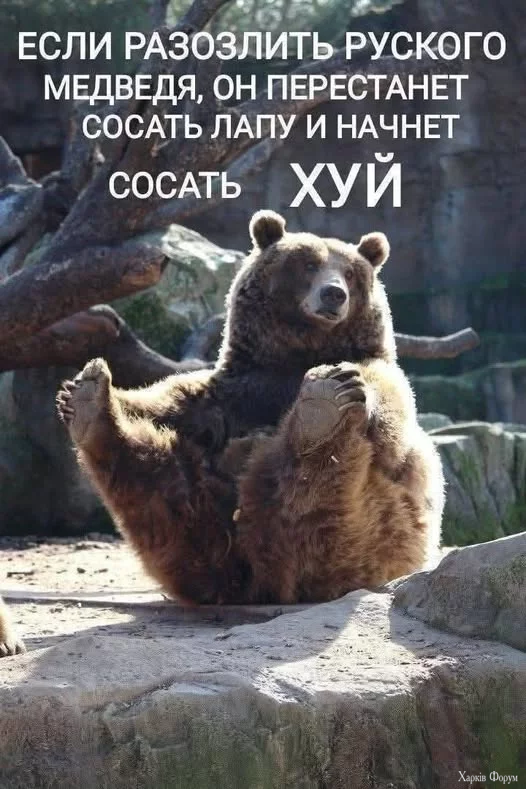 osXFRXlafbZXAqs&_nc_zt=23&_nc_ht=scontent.fiev28-1.webp