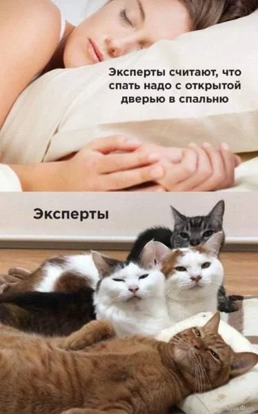  открытой дверью.webp
