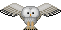 owl.gif