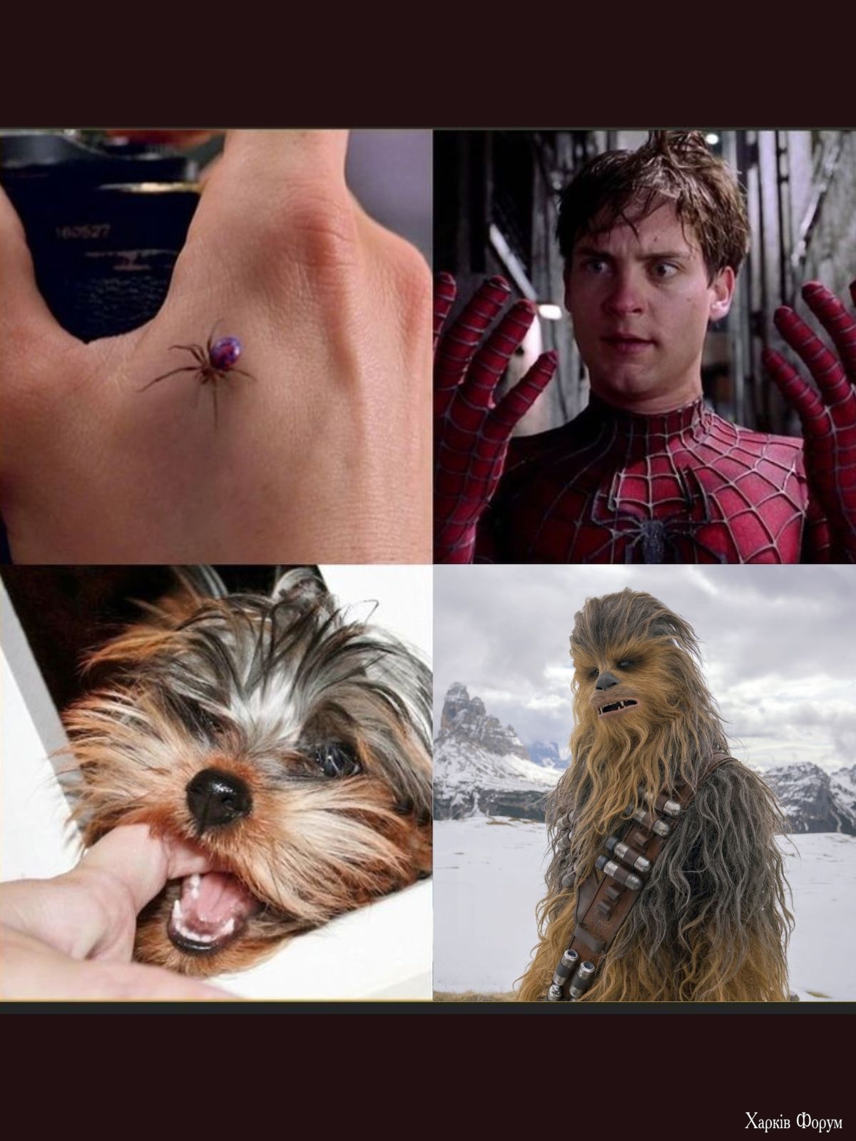 OWSAAQ7kNvgFN0M3D&_nc_zt=23&_nc_ht=scontent-waw2-2.jpg