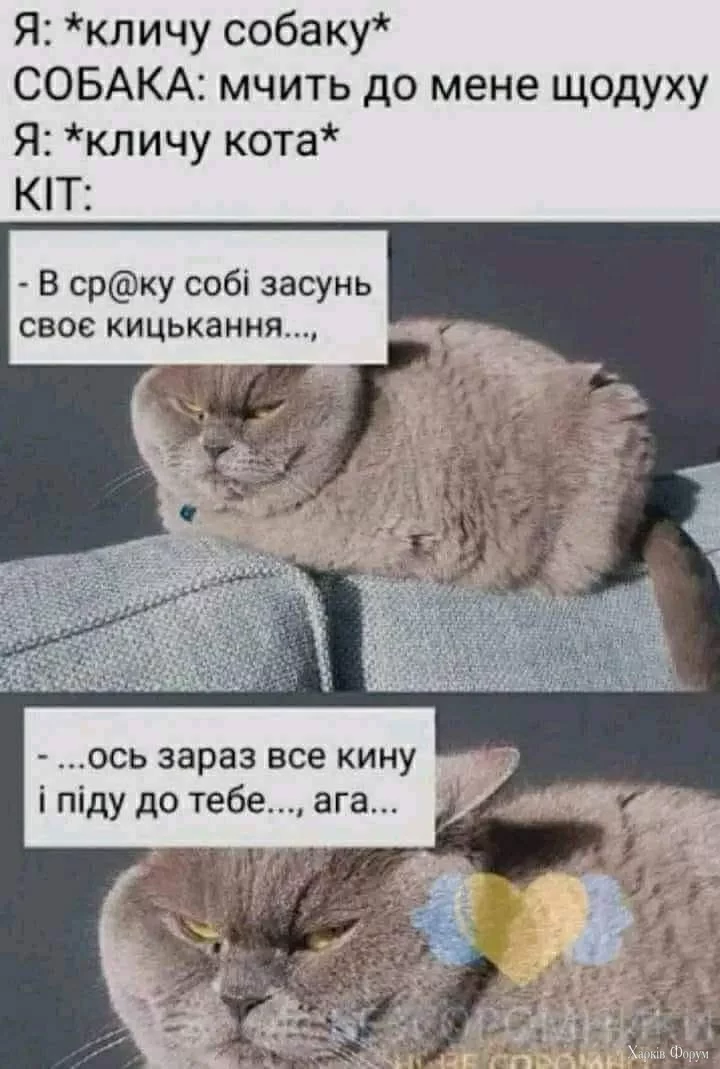 OXDp8nlcDYU5CcE&_nc_zt=23&_nc_ht=scontent.fiev28-1.webp