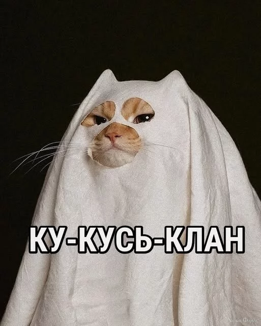 P0s9o6VLwAPKceM&_nc_zt=23&_nc_ht=scontent.fiev28-1.webp