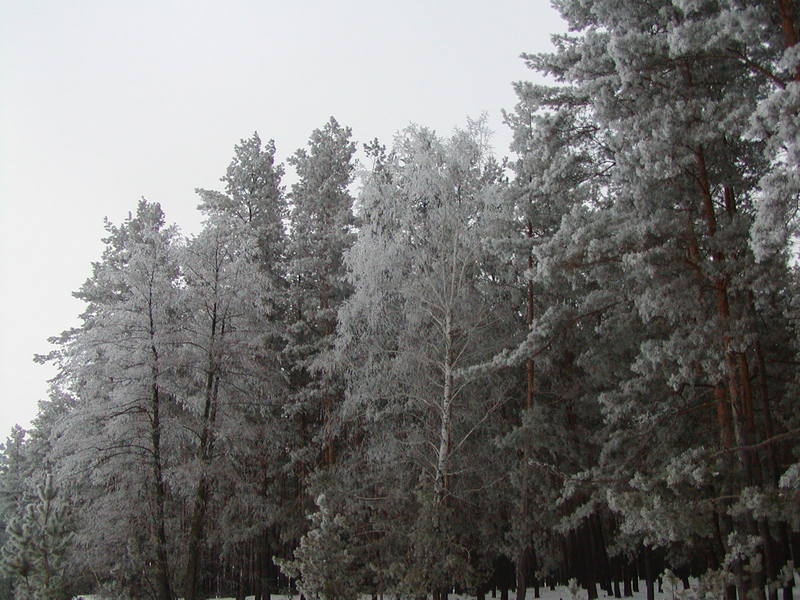 P1010066.jpg