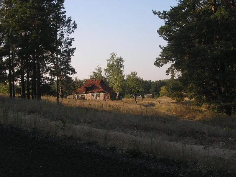 P1010447.webp