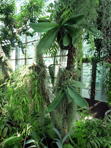 P1010531.jpg