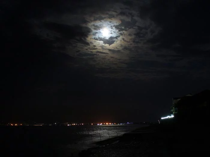 P1080919.webp