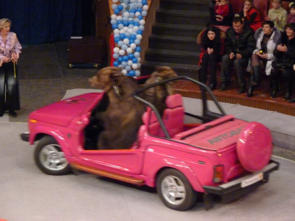 P1170454.webp