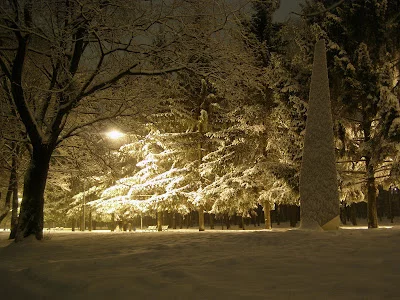 P1213269.webp