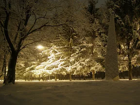 P1213269.webp