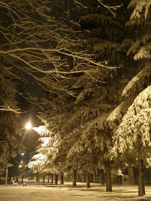 P1213276.webp