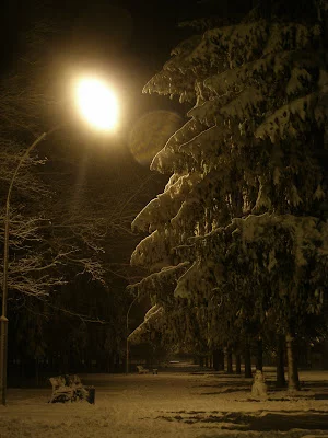 P1213287.webp