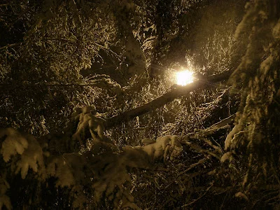 P1213296.webp